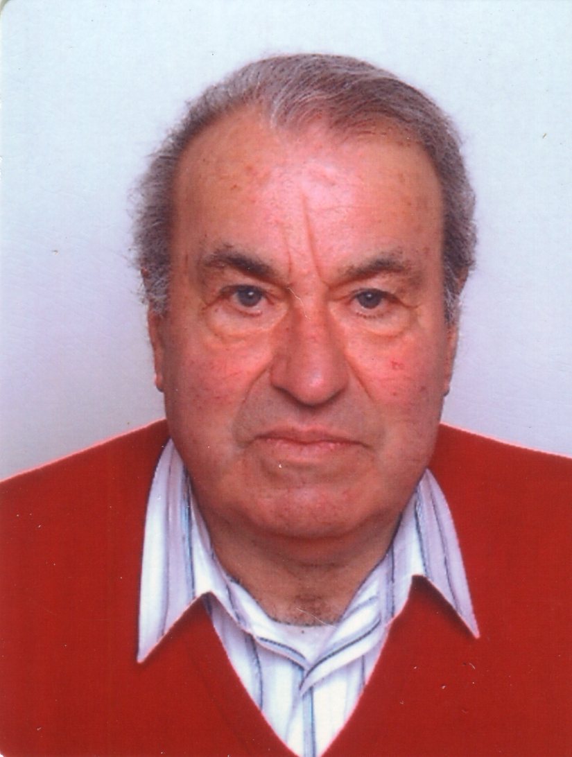 Dino Vecellio Reane